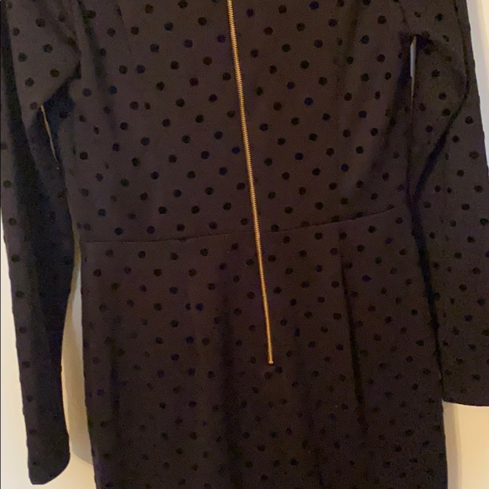 THE LIMITED LS Velvet Polkadot Dress - Picture 5 of 7